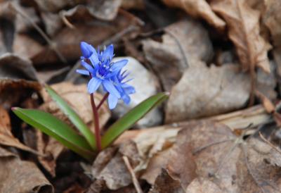 Прикрепленное изображение: rDSC_0124.jpg